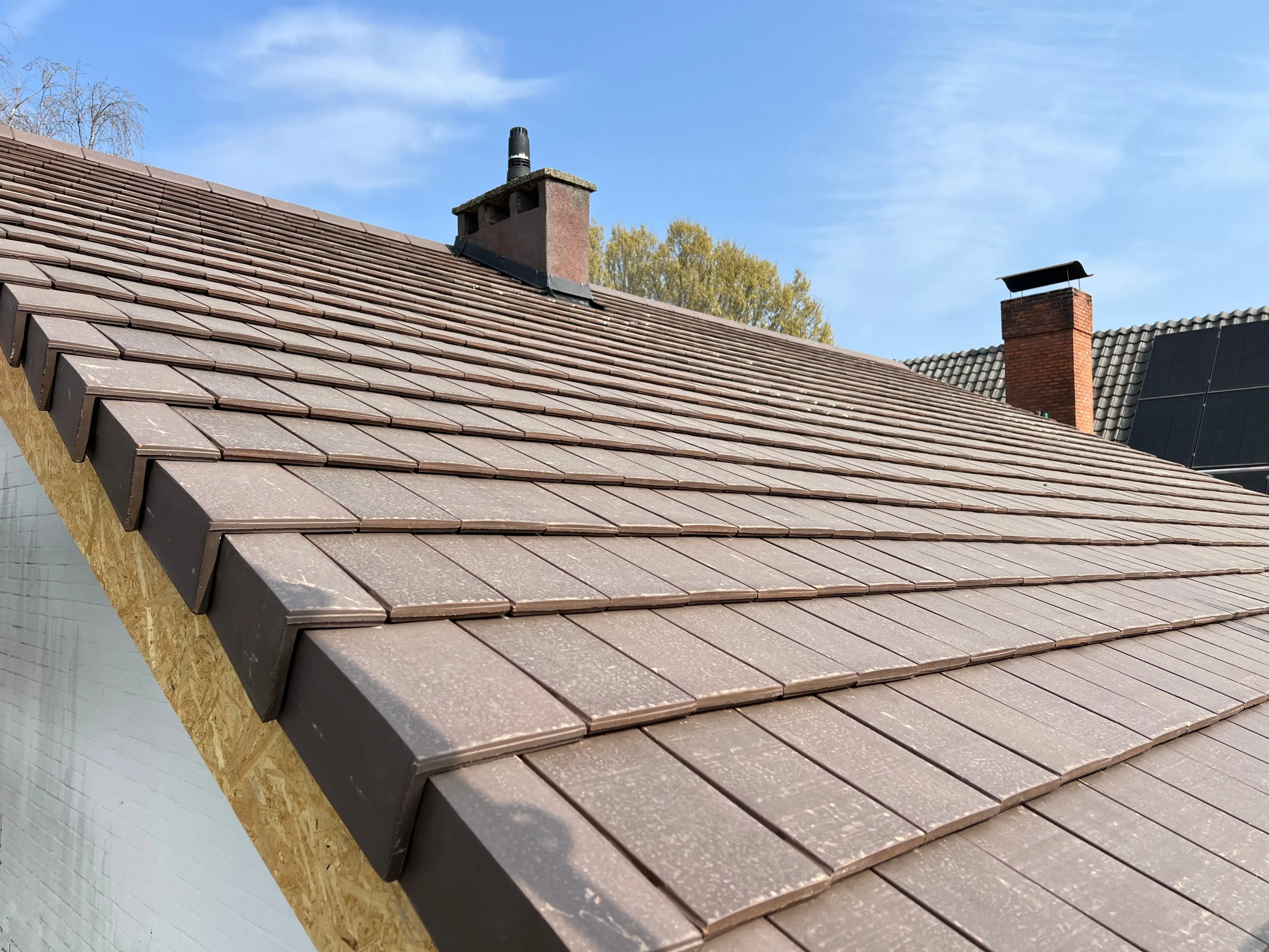 Basement & Waterproofing Services